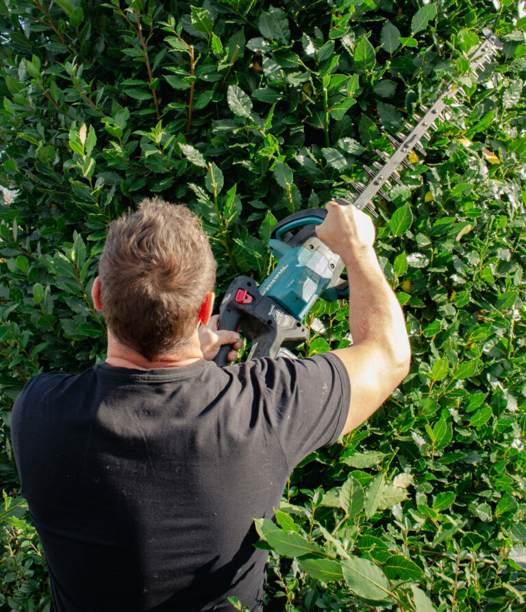 Tuinonderhoud op maat door Valkenburg Tuinen